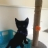PANTER SIZE GELSIN MI fotoğraf