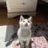 SEVGİ MANYAĞI MELEK fotoğraf