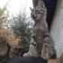 🐾 Vahşi ve kardeşi Aslan ömürlük yuvalarını arıyor! 🐾 fotoğraf