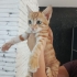 Yumuşacık tüylü uysal muhteşem bir bebek🧿 fotoğraf