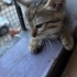 Minik meleğe yuva arıyorum fotoğraf