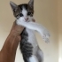 Çok güzel minik prens fotoğraf
