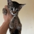 Çıtı pıtı güzel yüzlü bebek fotoğraf