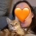 Behlüle ömürlük yuva fotoğraf