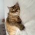Çok mutsuz, umudu kalmadı! fotoğraf