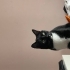 Sevgi dolu bir kucak kedisi fotoğraf