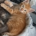 Güneş kızımıza ömürlük yıva fotoğraf