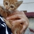 Güneş kızımıza ömürlük yıva fotoğraf