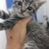 Yakışıklı oğlumuza acil yuva fotoğraf