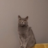 Mia ve Bünyamine ömürlük yuva arıyoruz fotoğraf