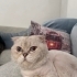 Sokağa atılan güzel bir oğlan fotoğraf