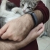 Güzeller güzeli mırmır bebek fotoğraf