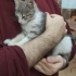 Güzeller güzeli mırmır bebek fotoğraf