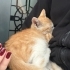 bu sevecen bebeğe kalıcı yuva arıyoruz fotoğraf