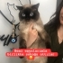 Eşyalarımla sokağa attılar 😔 fotoğraf