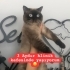 Eşyalarımla sokağa attılar 😔 fotoğraf
