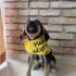 3.5 AYLIK OĞLUMUZA YUVA ARIYORUZ fotoğraf