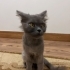 Sokağa atılmış bir çocuk acil kalıcı yuva arıyoruz fotoğraf