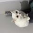 Sakin ve çok tatlı fotoğraf