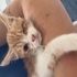 Tek gözlü Çiçek ailesini arıyor 🌼 fotoğraf