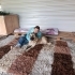 4 yaşında dişi, kısır. Çok cana yakın. fotoğraf