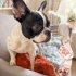Fransız Bulldog ÜCRETSİZ ÖMÜRLÜK YUVA ARIYORUZ fotoğraf