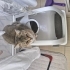 Sevgi dolu, mır mırr fotoğraf