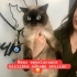 Eşyalarıyla sokağa attılar 😔 fotoğraf
