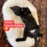 Hiç mi kimsenin kalbine dokunmadım 😔 fotoğraf