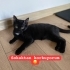 Hiç mi kimsenin kalbine dokunmadım 😔 fotoğraf