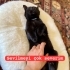 Hiç mi kimsenin kalbine dokunmadım 😔 fotoğraf