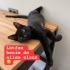 Hiç mi kimsenin kalbine dokunmadım 😔 fotoğraf