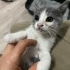 Çok acil ömürlük yuva fotoğraf