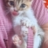 Bu bebekler kimin için yaratılmış:) fotoğraf
