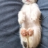 Bu bebekler kimin için yaratılmış:) fotoğraf
