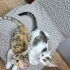 Bu bebekler kimin için yaratılmış:) fotoğraf