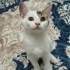 Bu bebekler kimin için yaratılmış:) fotoğraf