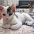Bu bebekler kimin için yaratılmış:) fotoğraf