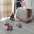 Bir gözü az görüyor , ama sevgiye engel değil fotoğraf