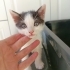 1,5-2 aylık bebekler klinikten💕 fotoğraf