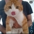 Yavru değil ama sizinle yeniden çocuk olur fotoğraf