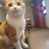 Yavru değil ama sizinle yeniden çocuk olur fotoğraf