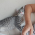 İlgi arsızı bebişler yuva arıyor 😊 fotoğraf