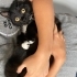 🐾 Gofrik’e Ömürlük, Güvenli Bir Yuva Arıyoruz fotoğraf