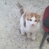 3 Kardeşe yuva arıyoruz fotoğraf