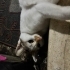 Bu güzel kıza yuva aranıyorr fotoğraf