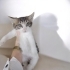 İZMİR MİNİ MİNNAK BEBEĞİMİZE ÖMÜRLÜK MELEĞİNİ ARIYORUZ fotoğraf