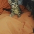 Nazlı İva mız Ailesini Arıyor fotoğraf