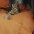 Nazlı İva mız Ailesini Arıyor fotoğraf
