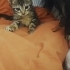 Nazlı İva mız Ailesini Arıyor fotoğraf